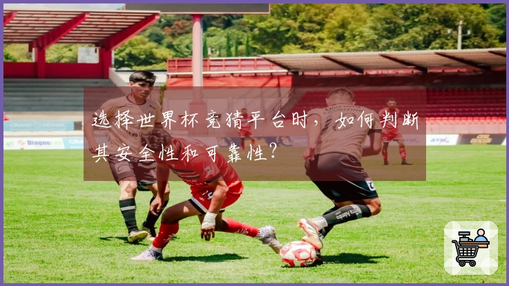 选择世界杯竞猜平台时，如何判断其安全性和可靠性？