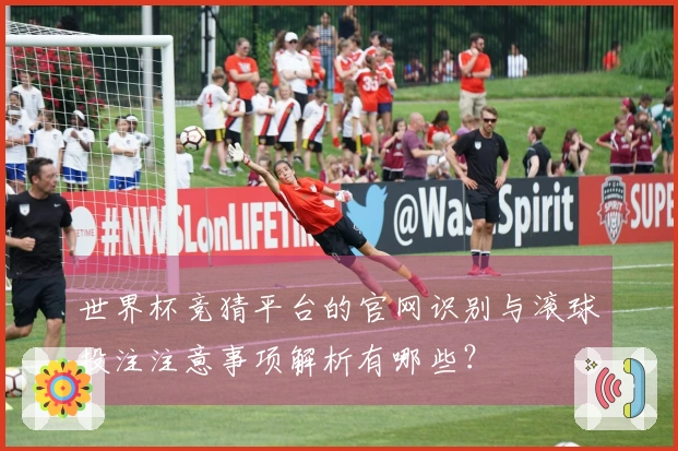 世界杯竞猜平台的官网识别与滚球投注注意事项解析有哪些？