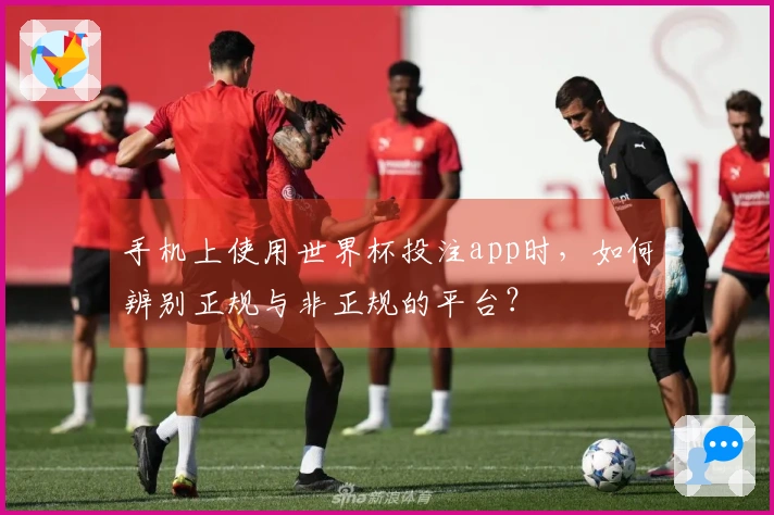 手机上使用世界杯投注app时，如何辨别正规与非正规的平台？