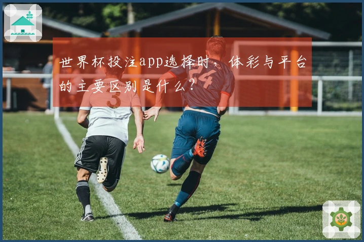 世界杯投注app选择时，体彩与平台的主要区别是什么？